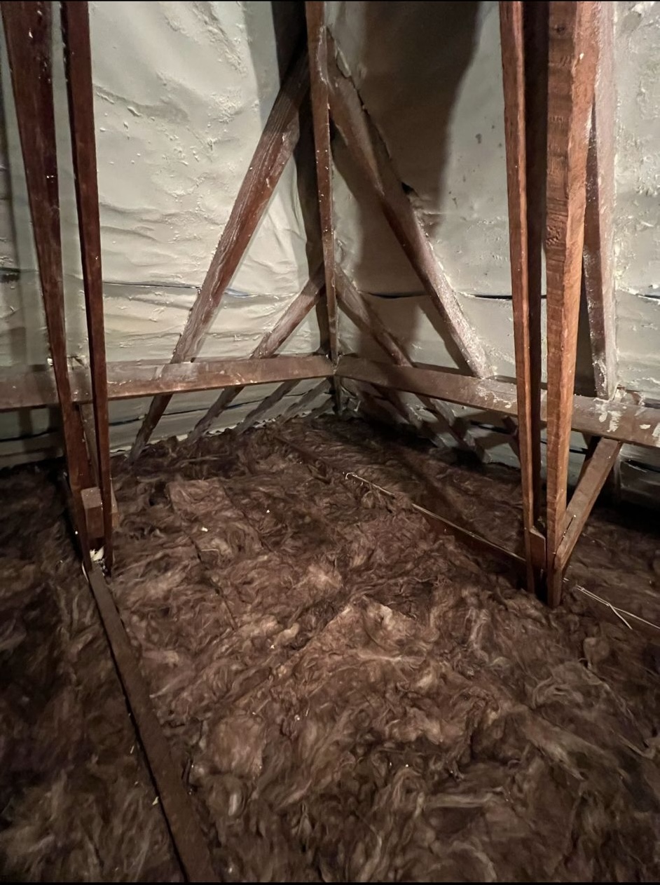 Old mineral wool insulation between joists in a Dorset loft — HomeShield warm-roof survey