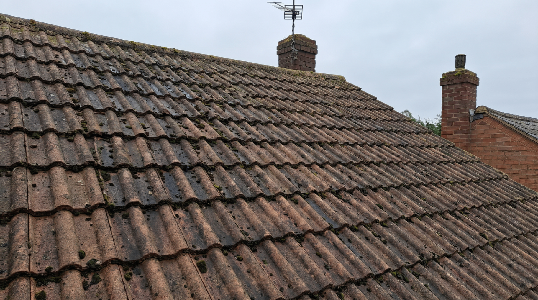 Roof clean — before — HomeShield project in Verwood, Dorset & Hampshire
